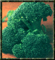 
Broccoli
